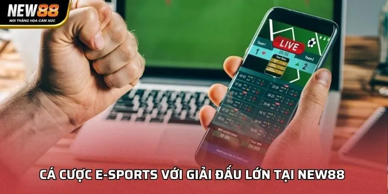 Cá cược E-sports với giải đấu lớn tại NEW88