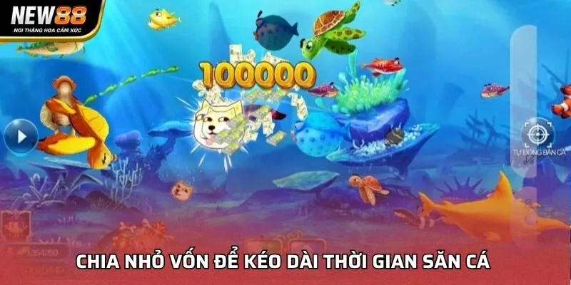 Chia nhỏ vốn để kéo dài thời gian săn cá