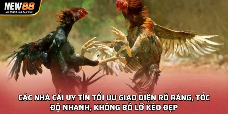 Các nhà cái uy tín tối ưu giao diện rõ ràng, tốc độ nhanh, không bỏ lỡ kèo đẹp