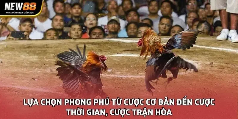 Lựa chọn phong phú từ cược cơ bản đến cược thời gian, cược trận hòa