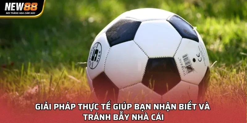 Giải pháp thực tế giúp bạn nhận biết và tránh bẫy nhà cái