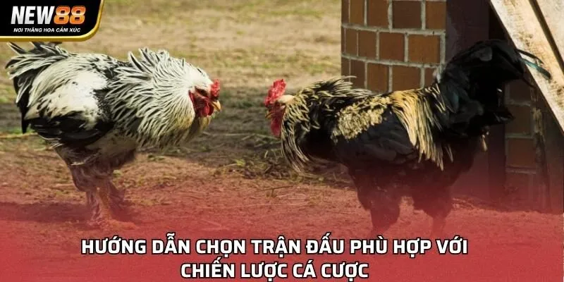 Hướng dẫn chọn trận đấu phù hợp với chiến lược cá cược