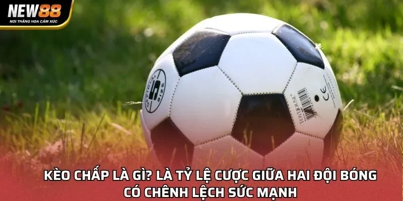 Kèo chấp là gì? Là tỷ lệ cược giữa hai đội bóng có chênh lệch sức mạnh