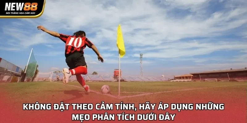 Không đặt theo cảm tính, hãy áp dụng những mẹo phân tích dưới đây