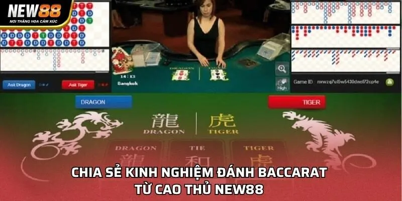 Phòng chơi Rồng Hổ live stream chất lượng HD