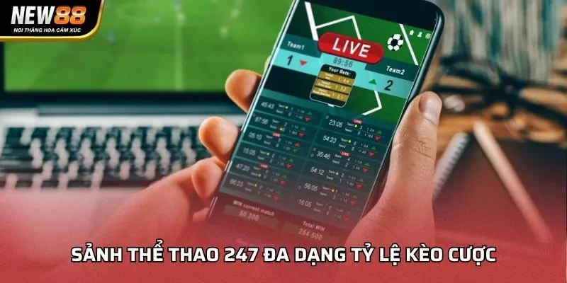 Sảnh thể thao 247 đa dạng tỷ lệ kèo cược
