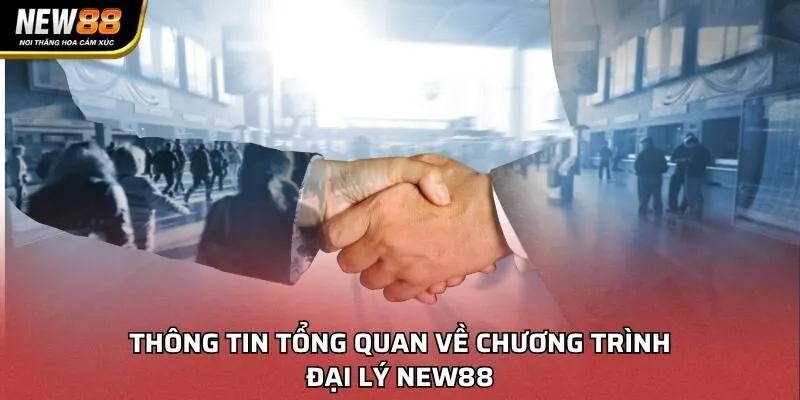 Thông tin tổng quan về chương trình đại lý NEW88