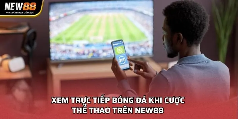 Xem trực tiếp bóng đá khi cược thể thao trên NEW88